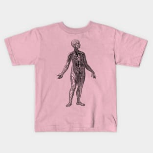 Human Vascular System Diagram Kids T-Shirt